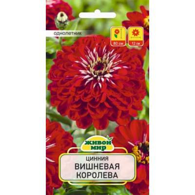 Семена Цинния Вишневая королева (W. Legutko) 1 г, РБ