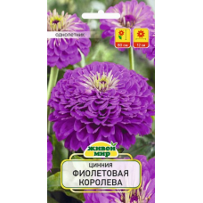 Семена Цинния Фиолетовая королева (W. Legutko) 1 г, РБ Семена Цинния Фиолетовая королева (W. Legutko) 1 г, РБ