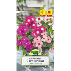 Семена Катарантус розовый Карликовый смесь сортов (W. Legutko) 0,1 г, РБ Семена Катарантус розовый Карликовый смесь сортов (W. Legutko) 0,1 г, РБ