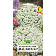 Семена Лобулярия (Алиссум) Снежный ковер (W. Legutko) 0,3 г, РБ Семена Лобулярия (Алиссум) Снежный ковер (W. Legutko) 0,3 г, РБ