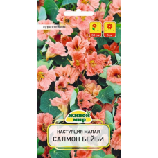 Семена Настурция малая Салмон Беби (W. Legutko) 1 г, РБ Семена Настурция малая Салмон Беби (W. Legutko) 1 г, РБ