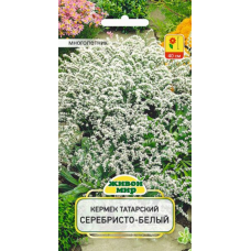 Семена Кермек татарский Серебристо-белый (W. Legutko) 0,1 г, РБ Семена Кермек татарский Серебристо-белый (W. Legutko) 0,1 г, РБ