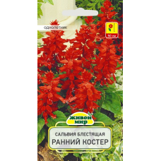 Семена Сальвия блестящая Ранний костер (W. Legutko) 0,2 г, РБ Семена Сальвия блестящая Ранний костер (W. Legutko) 0,2 г, РБ