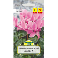 Семена Цикламен персидский Хельга (Cerny seed) 3 шт, РБ