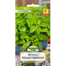 Семена Мелисса лекарственная Цитрина (W. Legutko) 0,3 г, РБ Семена Мелисса лекарственная Цитрина (W. Legutko) 0,3 г, РБ