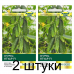 Семена Огурец Ягуар F1 (Takii seed) 5 шт, РБ -2шт Семена Огурец Ягуар F1 (Takii seed) 5 шт, РБ -2шт