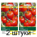 Семена Томат Полфаст F1 (Bejo Zaden) 10 шт, РБ -2шт Семена Томат Полфаст F1 (Bejo Zaden) 10 шт, РБ -2шт