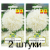 Семена Астра Королевский размер белая (W. Legutko) 0,3 г, РБ -2шт Семена Астра Королевский размер белая (W. Legutko) 0,3 г, РБ -2шт