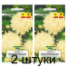 Семена Астра Пионовидная кремово-желтая (W. Legutko) 0,3 г, РБ -2шт Семена Астра Пионовидная кремово-желтая (W. Legutko) 0,3 г, РБ -2шт