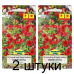 Семена Петуния  многоцветковая Компакта красная (W. Legutko) 0,2 г, РБ -2шт