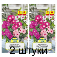Семена Катарантус розовый Карликовый смесь сортов (W. Legutko) 0,1 г, РБ -2шт Семена Катарантус розовый Карликовый смесь сортов (W. Legutko) 0,1 г, РБ -2шт