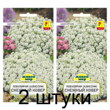 Семена Лобулярия (Алиссум) Снежный ковер (W. Legutko) 0,3 г, РБ -2шт Семена Лобулярия (Алиссум) Снежный ковер (W. Legutko) 0,3 г, РБ -2шт