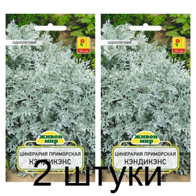 Семена Цинерария приморская Кэндикэнс (W. Legutko) 0,1 г, РБ -2шт