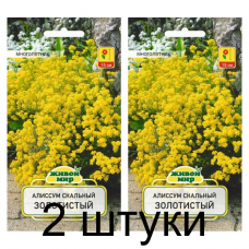 Семена Алиссум скальный Золотистый (W. Legutko) 0,3 г, РБ -2шт Семена Алиссум скальный Золотистый (W. Legutko) 0,3 г, РБ -2шт