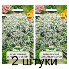 Семена Кермек татарский Серебристо-белый (W. Legutko) 0,1 г, РБ -2шт Семена Кермек татарский Серебристо-белый (W. Legutko) 0,1 г, РБ -2шт
