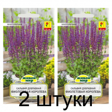 Семена Сальвия дубравная Фиолетовая Королева (W. Legutko) 0,3 г, РБ -2шт Семена Сальвия дубравная Фиолетовая Королева (W. Legutko) 0,3 г, РБ -2шт