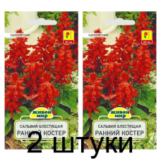 Семена Сальвия блестящая Ранний костер (W. Legutko) 0,2 г, РБ -2шт