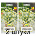 Семена Ромашка аптечная Золотое поле (N.L. Chrestensen) 0,5 г, РБ -2шт Семена Ромашка аптечная Золотое поле (N.L. Chrestensen) 0,5 г, РБ -2шт