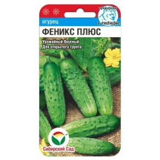 Семена Огурец Феникс плюс 7шт (Сиб Сад)