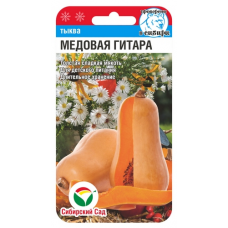 Семена Тыква Медовая гитара 5шт (Сиб Сад)