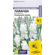 Лаванда английская белая Снежный колос, 5 семян (Семена Алтая)