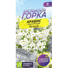 Арабис альпийский Белый (Семена Алтая)