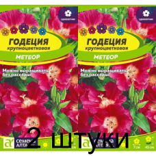Годеция крупноцветковая Метеор (Семена Алтая) -2шт