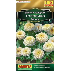 Цинния изящная Тополино белая (Семена Аэлита) Цинния изящная Тополино белая (Семена Аэлита)
