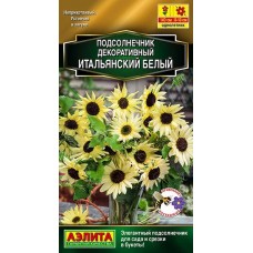 Подсолнечник декоративный Итальянский белый (Семена Аэлита)