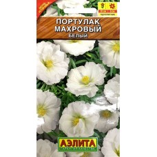 Портулак Махровый белый (Семена Аэлита) Портулак Махровый белый (Семена Аэлита)