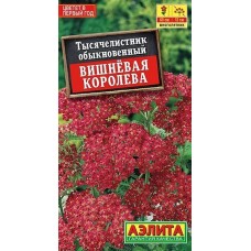 Тысячелистник Вишневая королева (Семена Аэлита) Тысячелистник Вишневая королева (Семена Аэлита)