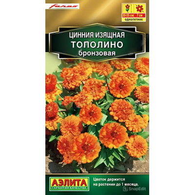 Цинния изящная Тополино бронзовая (Семена Аэлита)