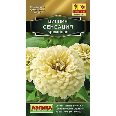 Цинния Сенсация кремовая (Семена Аэлита)