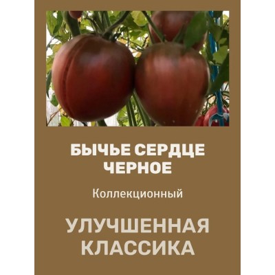 Томат Бычье сердце черное (Семена Аэлита)
