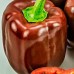 Перец сладкий крупноплодный КОРИЧНЕВЫЙ КУБ (Семена Аэлита) Перец сладкий крупноплодный КОРИЧНЕВЫЙ КУБ (Семена Аэлита)