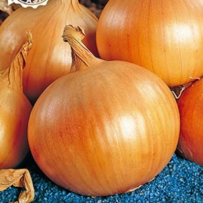Лук репчатый Король гигантов (Семена Аэлита)