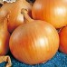 Лук репчатый Король гигантов (Семена Аэлита)