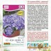 Петуния Е3 Изи вейв блю скай F1 (Семена Аэлита)
