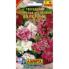 Гвоздика перистая Балерина махровая, смесь (Семена Аэлита) Гвоздика перистая Балерина махровая, смесь (Семена Аэлита)