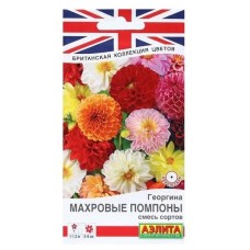 Георгина Махровые помпоны, смесь (Семена Аэлита) Георгина Махровые помпоны, смесь (Семена Аэлита)