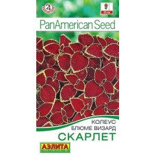 Колеус блюме Визард скарлет (Семена Аэлита) Колеус блюме Визард скарлет (Семена Аэлита)