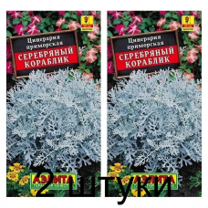 Цинерария Серебряный кораблик (Семена Аэлита) - 2 штуки Цинерария Серебряный кораблик (Семена Аэлита) - 2 штуки