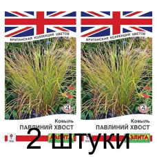 Ковыль Павлиний хвост (Семена Аэлита) - 2 штуки Ковыль Павлиний хвост (Семена Аэлита) - 2 штуки