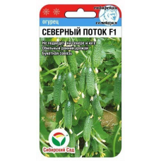 Огурец СЕВЕРНЫЙ ПОТОК F1 7шт (Сиб Сад)