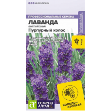 Лаванда английская Пурпурный колос, 5 семян (Семена Алтая)