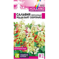 Сальвия Редди Вайт Сюрпрайз сверкающая, 5 семян (Семена Алтая)