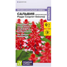 Сальвия Редди Скарлет биколор сверкающая, 5 семян (Семена Алтая)