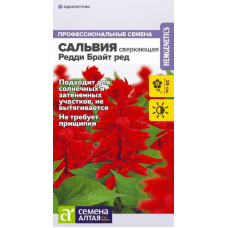 Сальвия Редди Брайт Ред сверкающая, 5 семян (Семена Алтая)