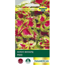 Колеус Виззард Роуз, 10 семян (PanAmerican Seed, СШA) Колеус Виззард Роуз, 10 семян (PanAmerican Seed, СШA)