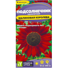 Семена Подсолнечника Малиновая Королева 0,3 гр Семена Подсолнечника Малиновая Королева 0,3 гр